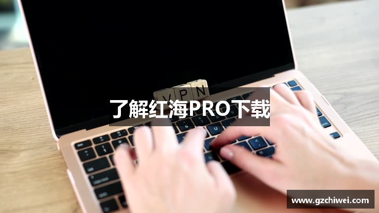 红海Pro_官方入口_节点订阅与加速
