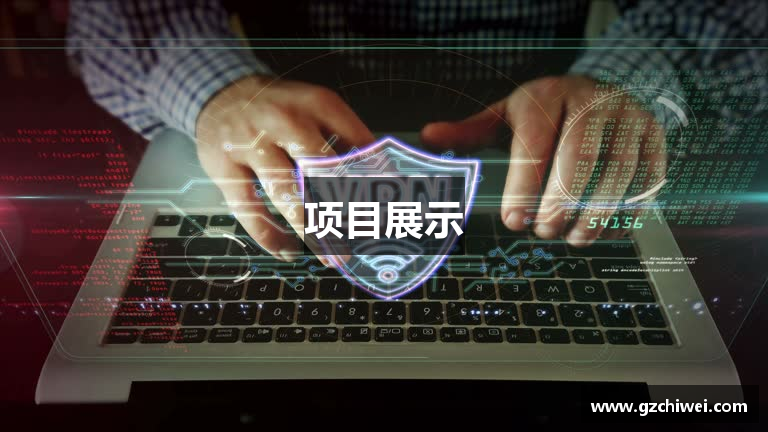 项目展示